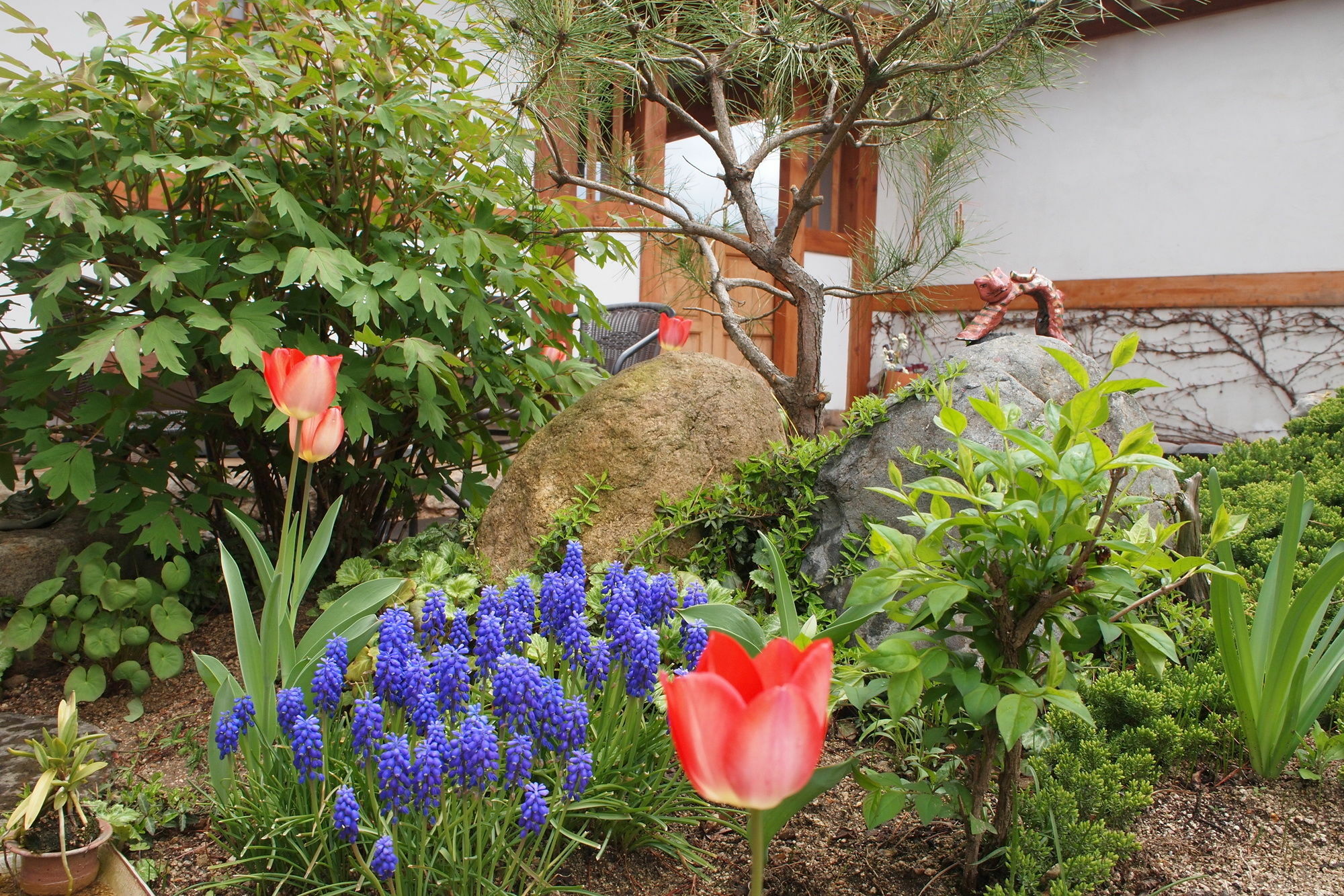 Floral Space Hanok Guesthouse Gyeongju Exterior foto